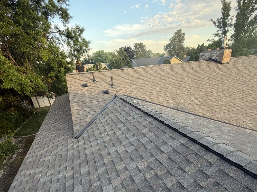 Ridge and chimney at treetop height on a finished roof