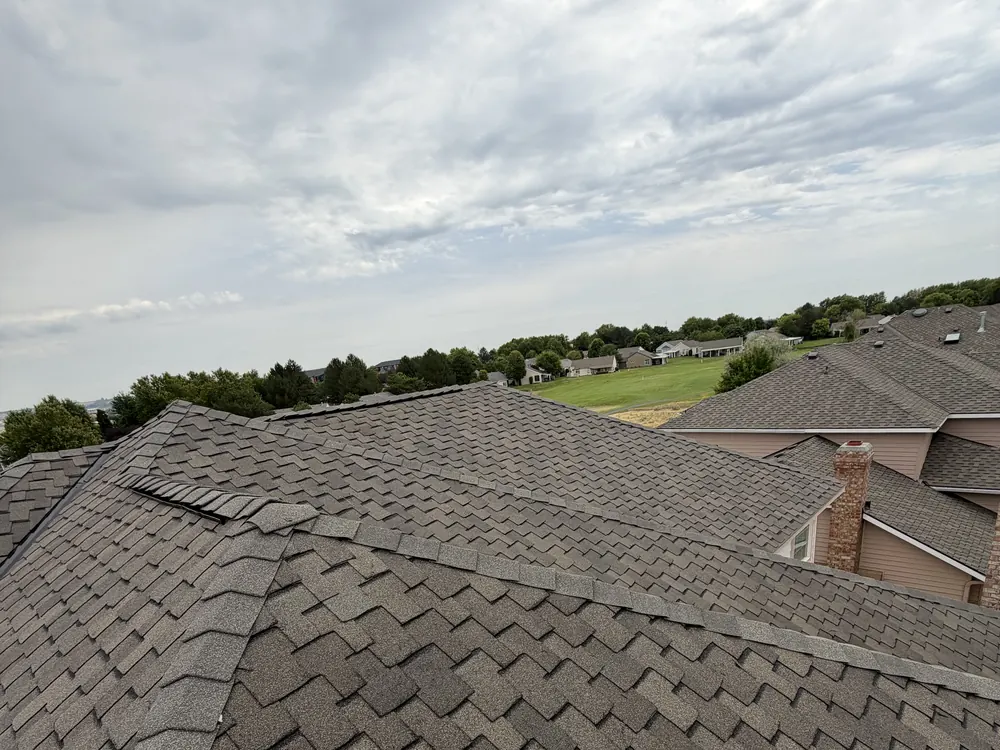 A completed shingle roof under overcast weather, with the neighbouring homes behind