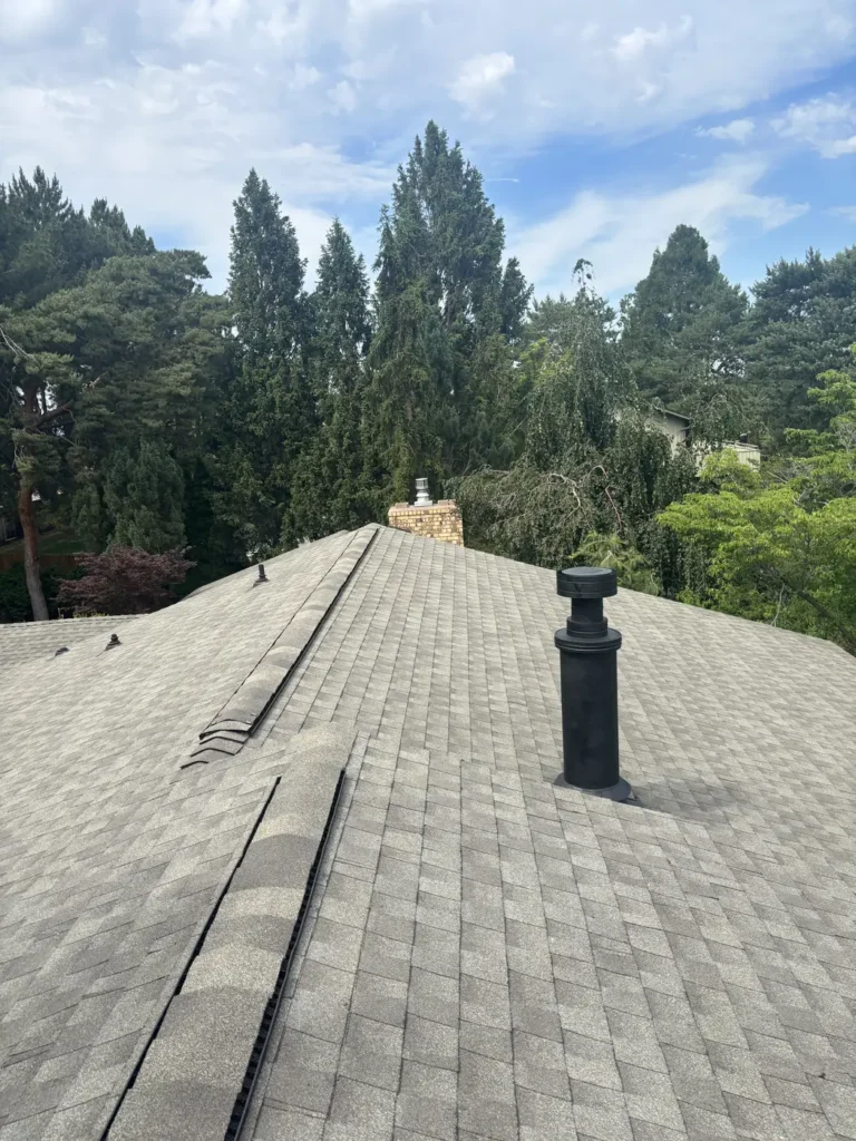 Completed roof with tall evergreens filling the skyline