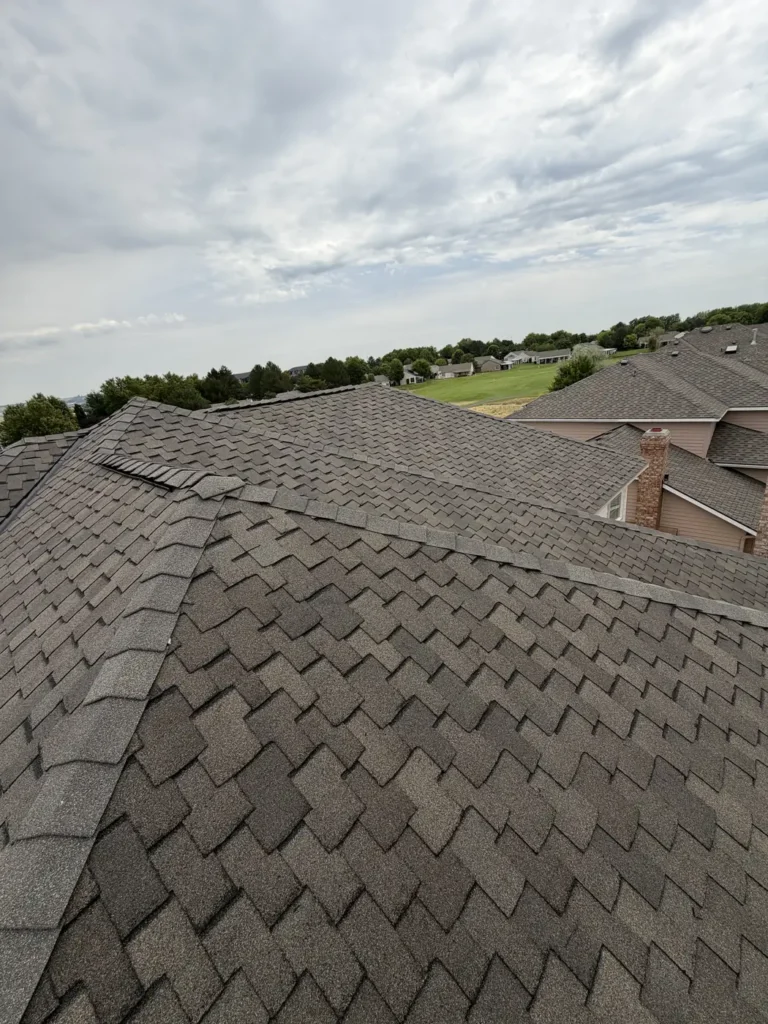 Brown architectural shingle under a flat overcast sky