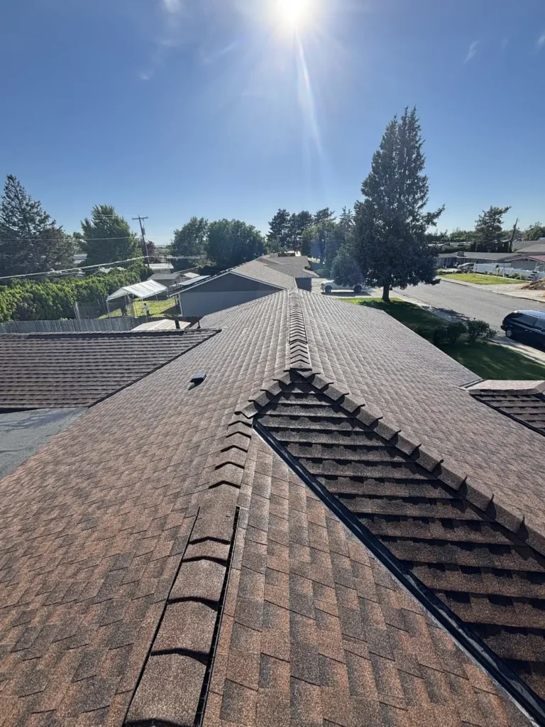 Brown shingle ridges converging, with the sun low over the peak