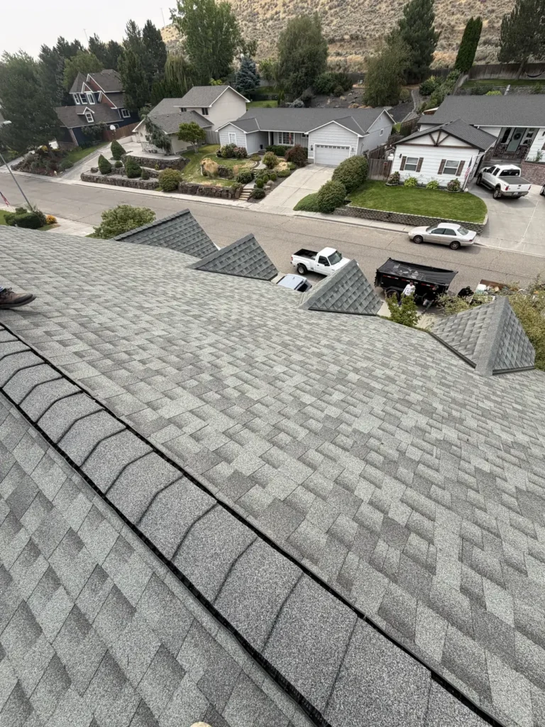 Grey shingle hips above a driveway and the homes opposite