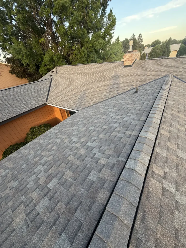Grey shingle ridge and chimney in late evening light