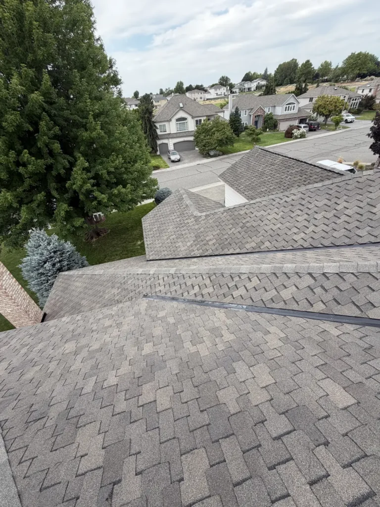A finished roof among mature trees, with two-storey homes behind