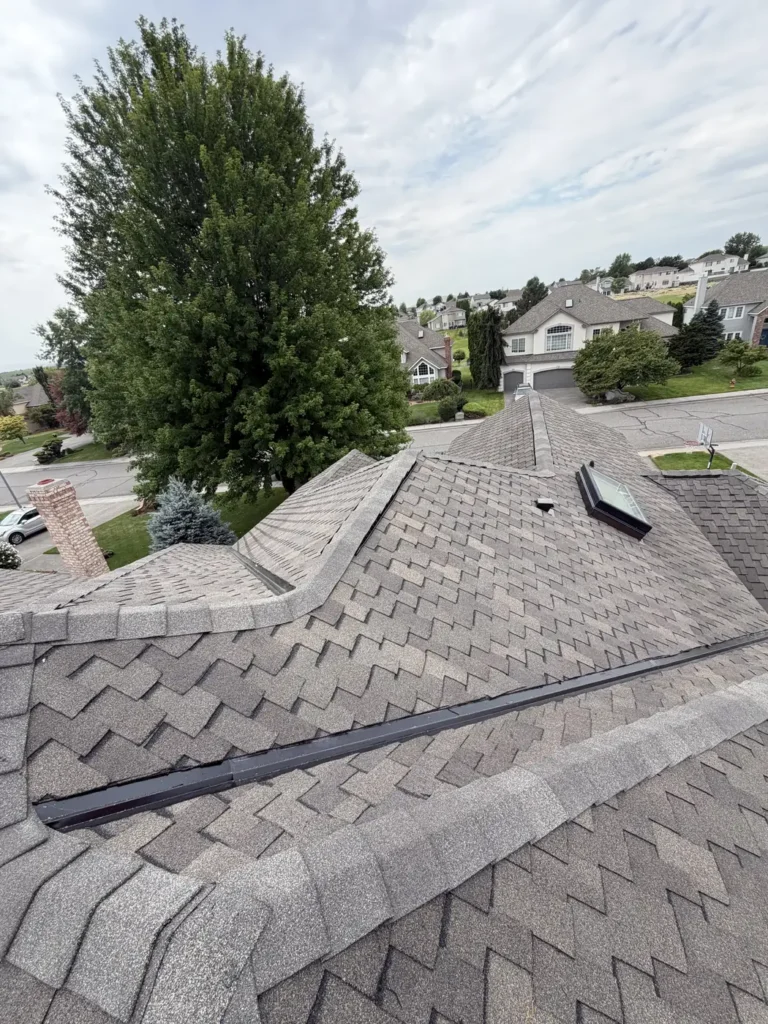 Completed roof beside a mature tree, with the street beyond