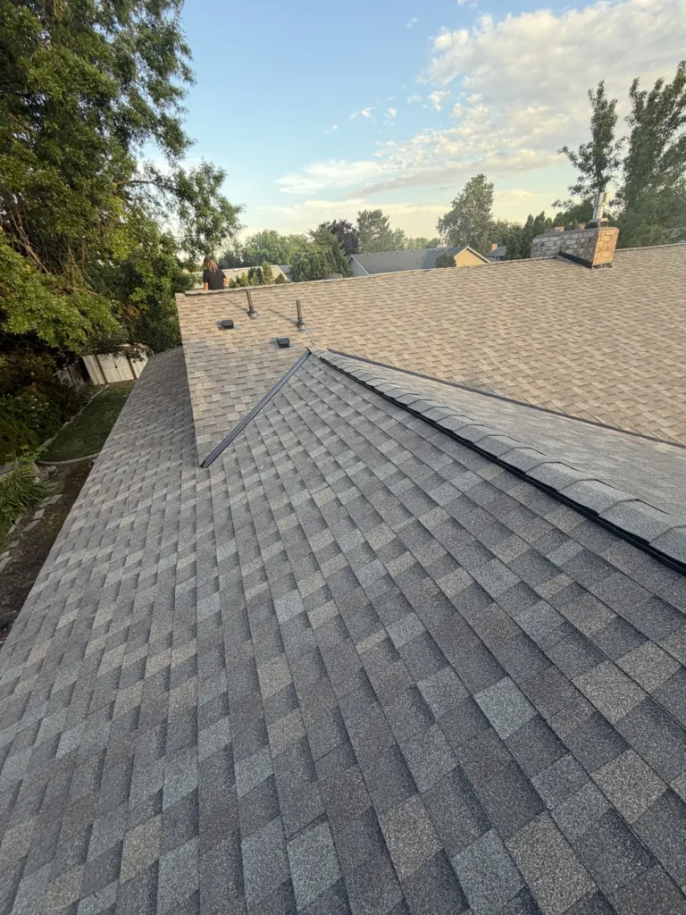 Ridge and chimney at treetop height on a finished roof