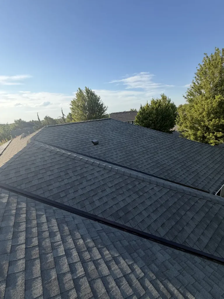 Grey architectural shingle plane and the treeline beyond