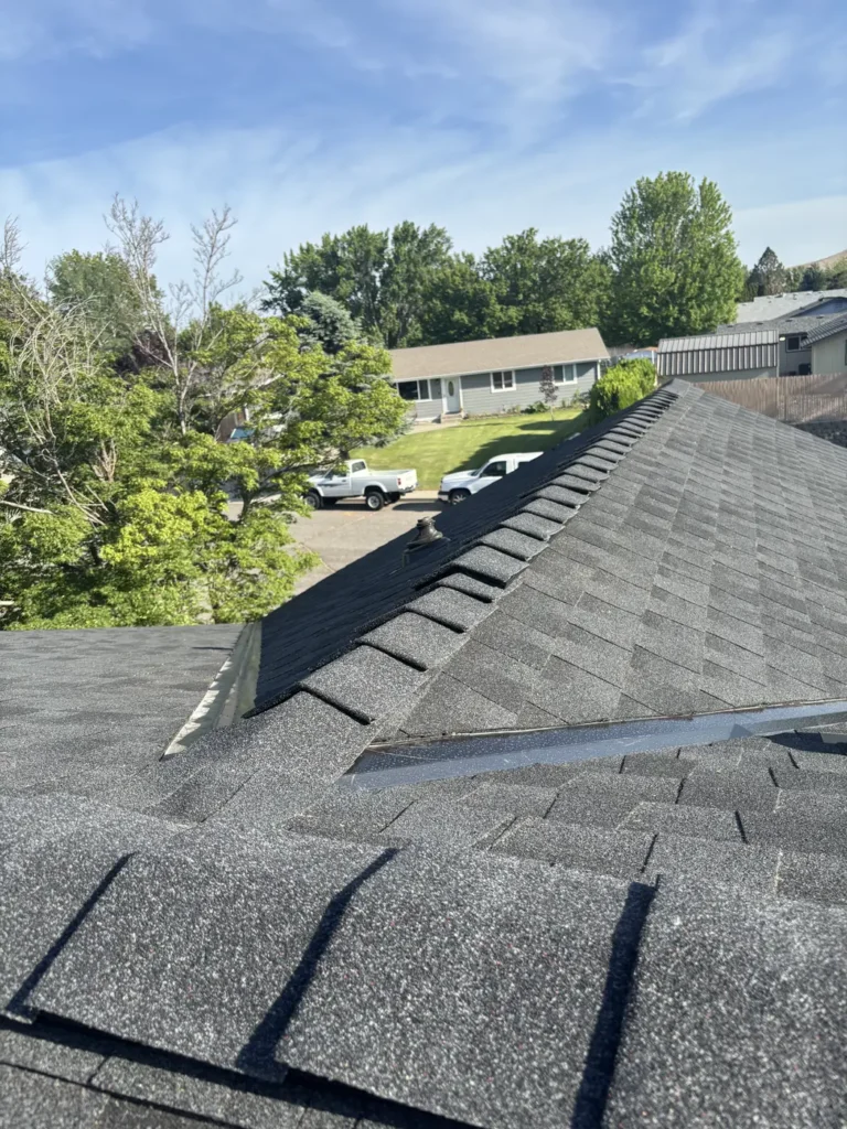 Finished roof above a driveway and the homes opposite