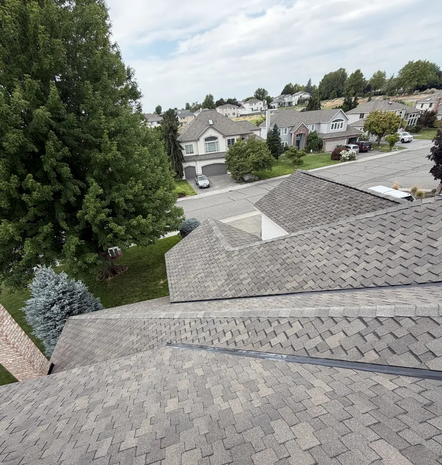 A completed shingle roof with mature trees and neighbouring homes behind it
